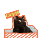 面白い黒い猫（個別スタンプ：7）