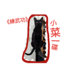 面白い黒い猫（個別スタンプ：8）