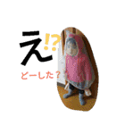 takahashi@2.（個別スタンプ：2）
