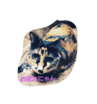 nekosuzuneko（個別スタンプ：4）