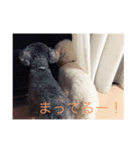 2176a（個別スタンプ：6）