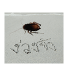 Cockroach 2（個別スタンプ：37）