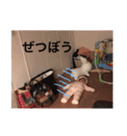 わたしのひなのん（個別スタンプ：5）