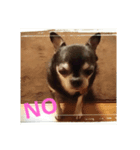 みーさんのひと言part2（個別スタンプ：2）