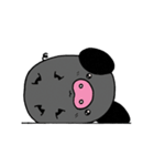 Black and white pigs（個別スタンプ：1）