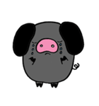 Black and white pigs（個別スタンプ：31）