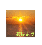 癒しの景色と無難な毎日（個別スタンプ：1）