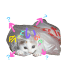はまちとぽんずの日常（個別スタンプ：18）