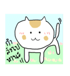 Chubby Cat MaoMao V6（個別スタンプ：18）