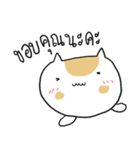 Chubby Cat MaoMao V6（個別スタンプ：21）