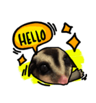 baby sugarglider（個別スタンプ：1）