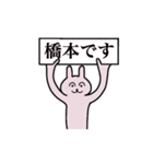 橋本さん 名字スタンプ（個別スタンプ：1）