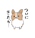 2018 今年の主役はオレ達犬（個別スタンプ：2）