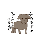 2018 今年の主役はオレ達犬（個別スタンプ：15）