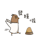 Brown chick--black tolinosuke（個別スタンプ：30）