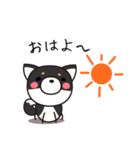 黒しば だけど（個別スタンプ：1）