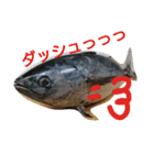 鮮魚のつぶやき 2（個別スタンプ：7）