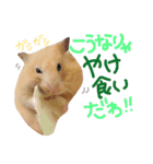 キンクマハムスターのチャイさん（個別スタンプ：14）