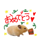 キンクマハムスターのチャイさん（個別スタンプ：15）