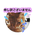 とらまろ♥スタンプpart2(敬語編)（個別スタンプ：1）
