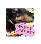 とらまろ♥スタンプpart2(敬語編)（個別スタンプ：2）