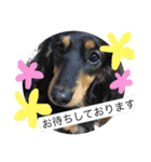 とらまろ♥スタンプpart2(敬語編)（個別スタンプ：6）