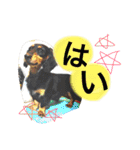 とらまろ♥スタンプpart2(敬語編)（個別スタンプ：7）