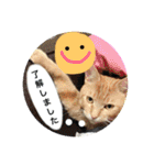 とらまろ♥スタンプpart2(敬語編)（個別スタンプ：8）