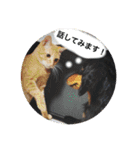 とらまろ♥スタンプpart2(敬語編)（個別スタンプ：11）
