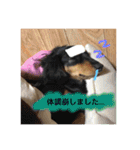 とらまろ♥スタンプpart2(敬語編)（個別スタンプ：12）