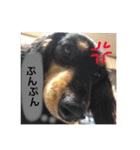とらまろ♥スタンプpart2(敬語編)（個別スタンプ：13）