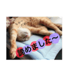 とらまろ♥スタンプpart2(敬語編)（個別スタンプ：27）