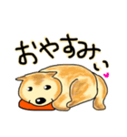 しあわせ犬 ぽち（個別スタンプ：6）