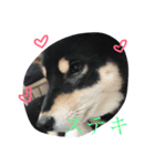 Everyday of runa2（個別スタンプ：5）