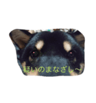 Everyday of runa2（個別スタンプ：7）