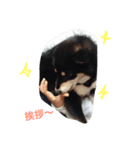 Everyday of runa2（個別スタンプ：8）