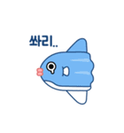 SunFish Emoji -Korean（個別スタンプ：4）