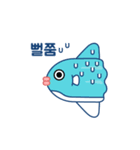 SunFish Emoji -Korean（個別スタンプ：9）