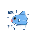 SunFish Emoji -Korean（個別スタンプ：12）