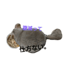 ゆみるく＆チンチラ達（個別スタンプ：4）