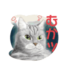 Lovely Cats +1 in The Blog（個別スタンプ：30）