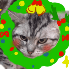 [LINEスタンプ] 大人も子どもも♪冬猫のクリスマス＆お正月の画像（メイン）