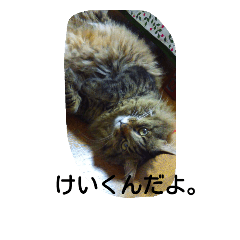 [LINEスタンプ] けいとひろ