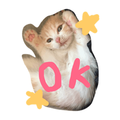 [LINEスタンプ] ちゃんリタ