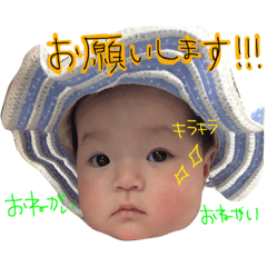 [LINEスタンプ] ぴなぴなぴなのの日常23