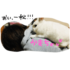 [LINEスタンプ] ぽんぽんぽん太♡