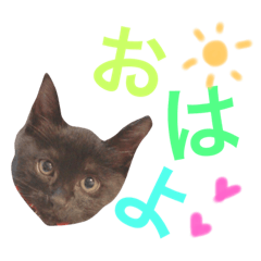 [LINEスタンプ] ジったん