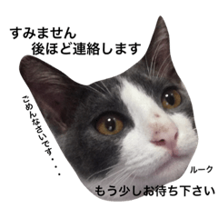 [LINEスタンプ] 我が家のお気に入り 2