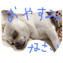 [LINEスタンプ] つぐみです