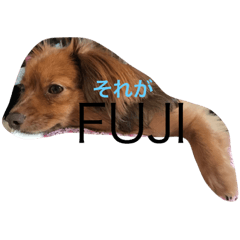 [LINEスタンプ] それがfuji冬